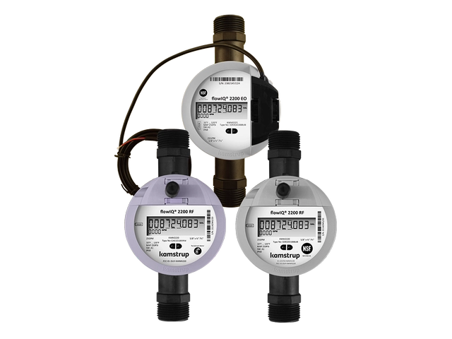flowIQ® 2200 ALD - Superior Leak Detection & Water Metering